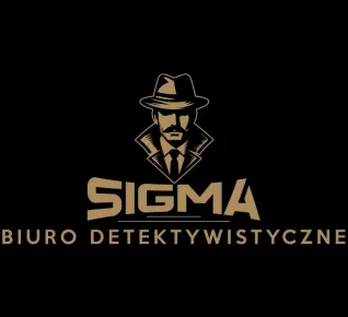 Biuro Detektywistyczne Sigma, Profesjonalne Usługi Detektywistyczne